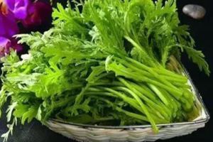 這兩種菜是天然的補品，比吃保健品強一百倍而且這兩種菜很便宜