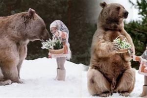 俄羅斯夫婦領養了3個月大的熊，就像是他們的真實版「巨型玩具熊」！