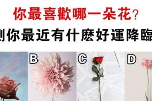 心理測試：選一朵你喜歡的花，測出你近期有什麼好運來臨！