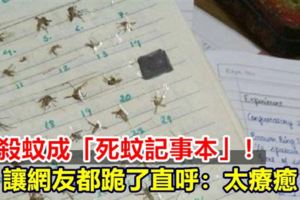 她殺蚊成「死蚊記事本」！讓網友都跪了：太療癒