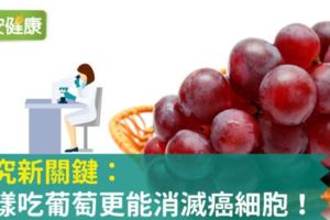 研究新關鍵：這樣吃葡萄更能消滅癌細胞！