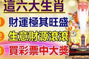 橫財運極旺，不論買彩票還是做生意，都財源滾滾的生肖