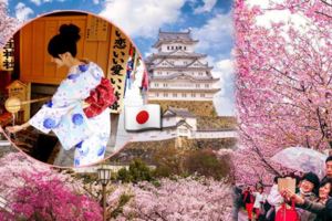 【到日本旅遊政府幫你出住宿費！】日本推出「住宿津貼」！外國人可享70%折扣！