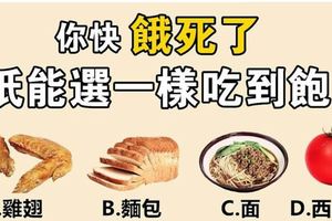 心理測試：你會選哪樣食物？測你晚年過什麼樣的生活！