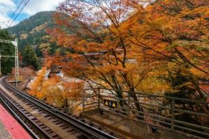 2018京都紅葉景點推薦