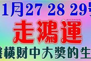 11月27，28，29號走鴻運，發橫財中大獎的生肖