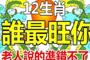 12生肖，誰最旺你！老人說的錯不了！