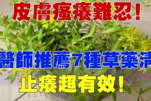 皮膚瘙癢難忍！中醫師推薦7種草藥清洗，超有效哦！！
