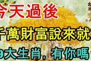 今天過後，千萬財富說來就來的9大生肖