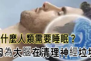 為什麼人類需要睡眠？因為大腦在清理神經垃圾