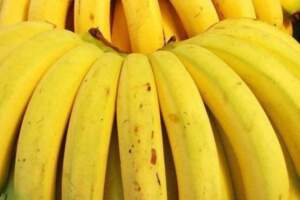 香蕉那麼甜，糖尿病患者可以天天吃嗎？營養師：適量吃就沒問題
