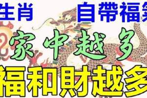 六大生肖自帶福氣！誰家最多，誰家就最興旺，有福又有財全家富貴