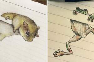 翻開插畫家筆記本好萌～　動物們「橫線上爬梯」Q到能出畫冊啊♡