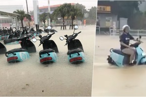 Gogoro 石垣島暴雨照樣騎去逛大街，日本網友認證 GoShare 原來是「水陸兩用」！