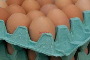 雞蛋是個寶，健康效果好！但4種雞蛋別吃，否則是跟健康過不去