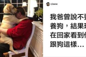 當初誰說不養狗！　13位「口是心非的爸」兒女超無言：現在我才是撿來那個...