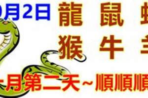 10月2日生肖運勢_龍、鼠、蛇大吉