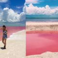地表最夢幻的「粉紅色沙灘」，超療癒粉色讓國外網美搶著拍照打卡！