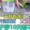 鞋子穿一天就有味？放上2片這東西，鞋子穿10天都不臭，太實用了