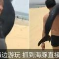 海豚死亡擱淺海灘遊客直接扛起就走漁政：已報警追查