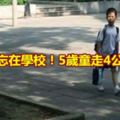 被老師忘在學校！5歲童走4公裡回家