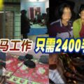 偷渡來馬工作-只需2400手續費！