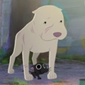 皮克斯新短片「被糟蹋的狗狗與流浪貓」超好哭　網淚：我好難過QQ
