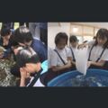 生命教育，這些自己親手養的魚，吃與不吃這些日本學生如何決定呢?