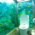 日本「水族館廁所」360度魚群包圍　網讚翻：進去上就不想出來～