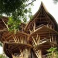 她用竹子建了一個別墅，引來全世界40多個國家圍觀！