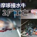 凌晨騎摩哆撞水牛牛死2廠工亡|中國報ChinaPress