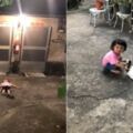 2歲萌妹夜躺石頭地，陪喵喵「曬肚看星星」！媽媽育兒觀讓網友敬佩