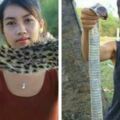 柬埔寨美女通過網路直播吃野生動物，引髮網友憤怒，結果被逮捕！