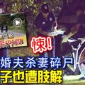 草叢碎屍案驚人內幕！新國新婚夫殺妻碎屍目擊繼子也遭肢解