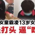 13歲女生遭霸凌·兩名12歲女童用鐵蓋打頭