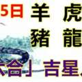 8月25日生肖運勢_羊、虎、狗大吉