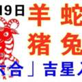 10月19日生肖運勢_羊、蛇、狗大吉