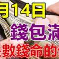 11月14日財氣高漲，賺得錢包滿滿，就是數錢命的生肖