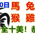 1月10日生肖運勢_馬、兔、豬大吉