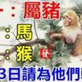 （豬，馬，猴）5月13日請為他們轉走