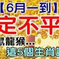 6月一到註定不平凡，這五個生肖請看