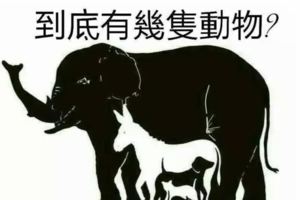 看圖測智商》有人看出4種動物，有人看出10種...你能找出幾種呢？（快睜大眼找找～）