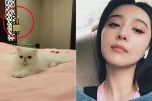 眼尖網友這麼多，冰冰、嘉欣、大S還敢亂發微博，這膽真大！