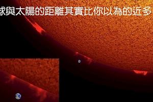 23個讓大家驚覺「原來我對這個世界的理解竟然全部錯誤」的事實真相。