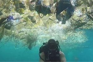 峇裡島不再是人間天堂　海面上「滿滿都是垃圾」真相超恐怖
