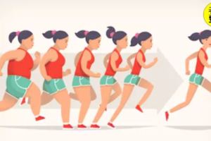 減完肥肚子上還有好多贅肉怎麼辦，肚子上的贅肉怎麼才能消除？