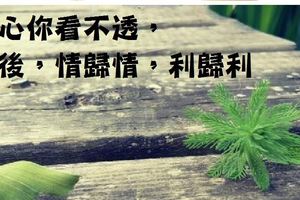 人心你看不透，以後，情歸情，利歸利