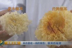 50元和400元的銀耳究竟差在哪兒？銀耳的套路全在這