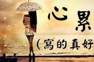 心累（寫的真好）
