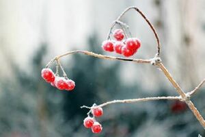 悟透人生的短句：一句讓人瞬間清醒！